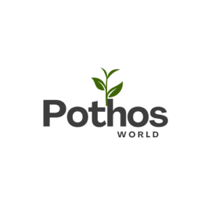 logo pothos world